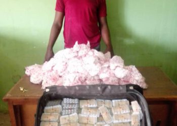 NDLEA Boss Orders Stop and Search of Commercial Despatch Riders in Abuja