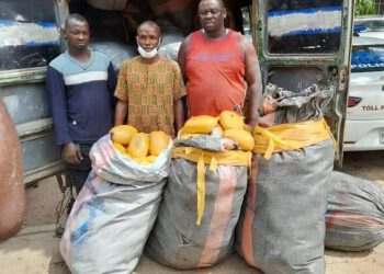 POLICE OPERATIVES INTERCEPT BUSLOAD OF ILLICIT DRUGS