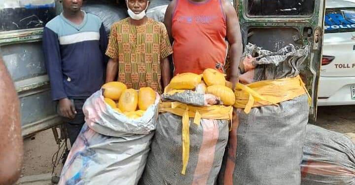 POLICE OPERATIVES INTERCEPT BUSLOAD OF ILLICIT DRUGS