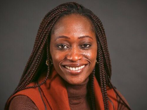 2023: M.K.O Abiola’s daughter, Zwingina,  Fani-Kayode To Lead Yahaya Bello’s Presidential Campaign