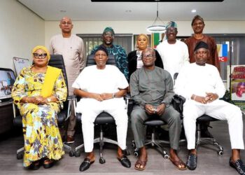 Lagos APC Primaries: Ibirogba To Lead Planning Committee