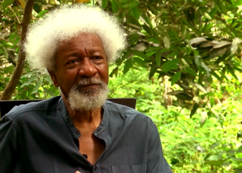 In Time Of Crisis: Civilian And Soldier By Wole Soyinka
