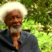 In Time Of Crisis: Civilian And Soldier By Wole Soyinka