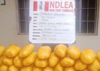NDLEA intercepts Meth consignments at Lagos airport, courier firm