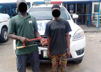 TRANSPORT INFRASTRUCTURE VANDALIZATION: LAGOS POLICE NABS 2 SUSPECTS