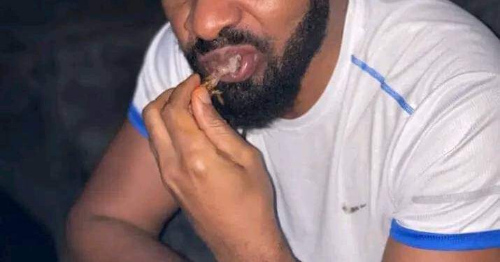 {Opinion} Adeyanju Deji Crisis of Ignorance &  Cashtivism By Jamiu Balogun