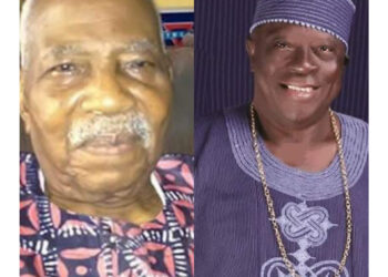 QUESTIONS FOR AFENIFERE By Femi Fani – Kayode