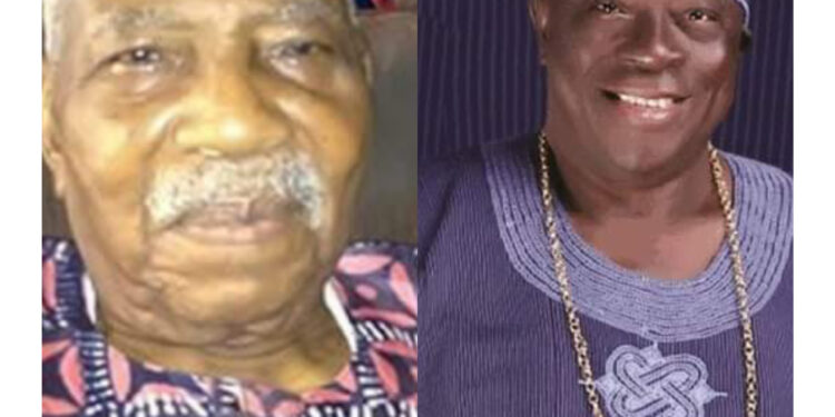 QUESTIONS FOR AFENIFERE By Femi Fani – Kayode