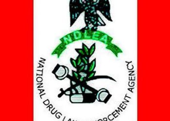 NDLEA extends close of recruitment application portal by a week