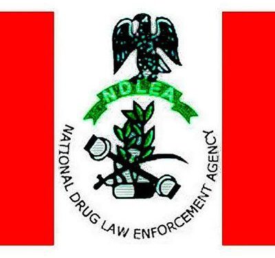 NDLEA extends close of recruitment application portal by a week