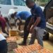LAGOS GOVERNMENT STEPS UP INTERVENTION TO ADDRESS EGG GLUT IN THE POULTRY SECTOR