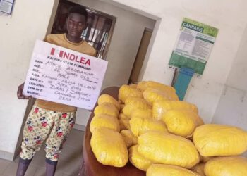 NDLEA intercepts drug consignments in winter jackets, body lotion at Lagos airport