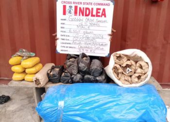 Pregnant woman, widow arrested over N3.2m counterfeit cash, lethal illicit substance