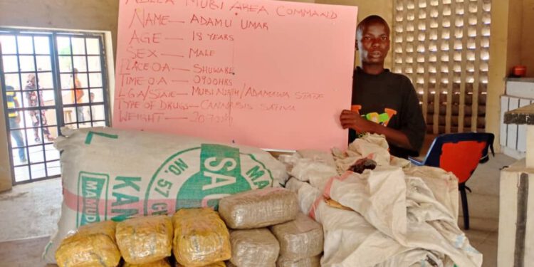 Cocaine trafficking: Two notorious drug kingpins sentenced to life imprisonment