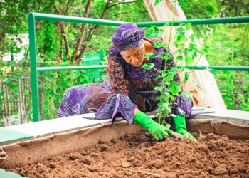 FIRST LADY OLUREMI TINUBU SAYS WOMEN SHOULD LEAD THE FOOD SECURITY CAMPAIGN