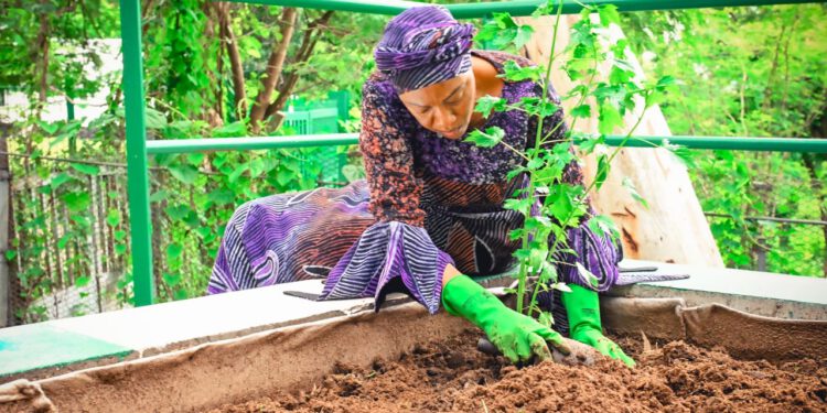 FIRST LADY OLUREMI TINUBU SAYS WOMEN SHOULD LEAD THE FOOD SECURITY CAMPAIGN