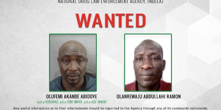 Wanted drug baron behind 4 cocaine shipments to Saudi Arabia, Qatar arrested