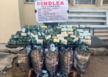 N4.4billion worth cocaine seized at Lagos airport as NDLEA grills 30 suspects