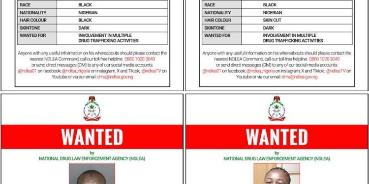 NDLEA declares 4 members of ‘Barryshine’ drug cartel wanted