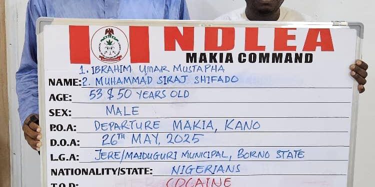 NDLEA busts syndicate sponsoring pilgrims with cocaine to hajj, arrests 3 kingpins in Kano