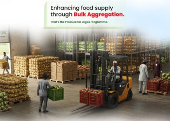 Lagos to Boost Food Supply with Innovative Produce Programme
