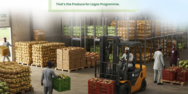 Lagos to Boost Food Supply with Innovative Produce Programme