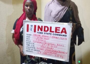 Two drug kingpins arrested with consignments of cocaine, heroin, meth in Lagos