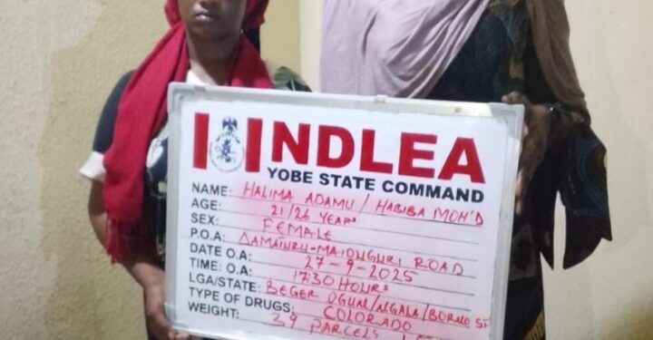 Two drug kingpins arrested with consignments of cocaine, heroin, meth in Lagos