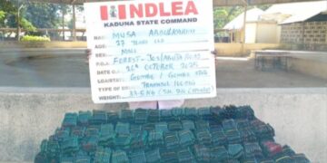 NDLEA busts clandestine Colos lab in Lagos, intercepts Loud consignments in bathtubs