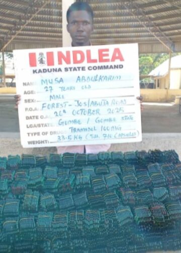 NDLEA busts clandestine Colos lab in Lagos, intercepts Loud consignments in bathtubs
