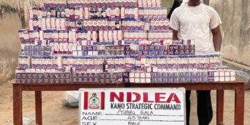 NDLEA nets wanted drug kingpin after 13 years in hiding over cocaine, heroin shipments