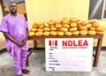 Ex-Lagos council chief arrested as NDLEA recovers illicit drugs in baby diapers