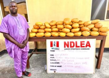 Ex-Lagos council chief arrested as NDLEA recovers illicit drugs in baby diapers