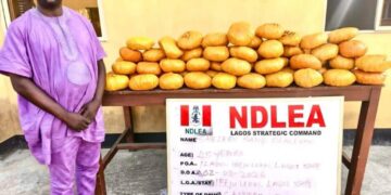 Ex-Lagos council chief arrested as NDLEA recovers illicit drugs in baby diapers