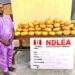 Ex-Lagos council chief arrested as NDLEA recovers illicit drugs in baby diapers