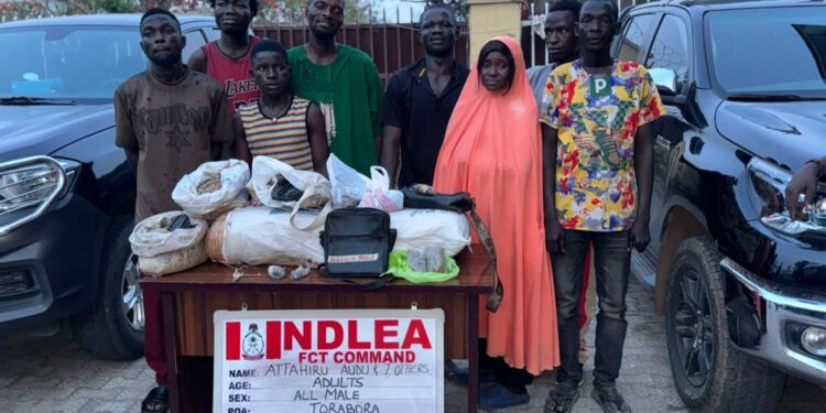 93-year-old great grandpa, medical doctor arrested over cocaine, skunk trafficking