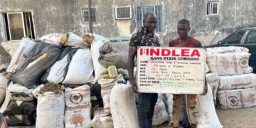 11 drug kingpins bag 254 years in prison as NDLEA secures 974 convictions in 3 months