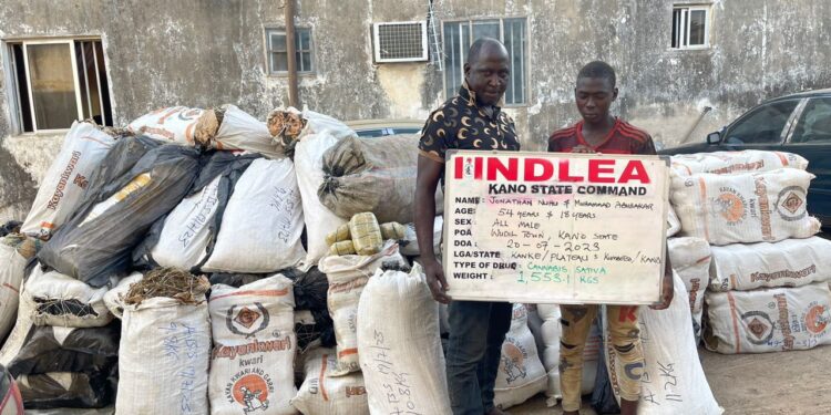11 drug kingpins bag 254 years in prison as NDLEA secures 974 convictions in 3 months