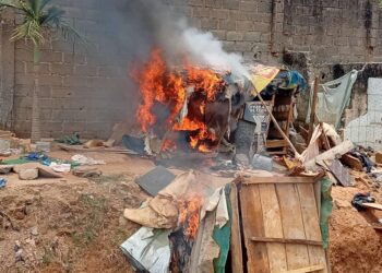 NDLEA dismantles Abuja drug bunks, arrests 132, recovers 220kg illicit substances