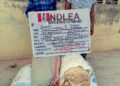 Two grandpas arrested for selling illicit drugs to teenage secondary school students