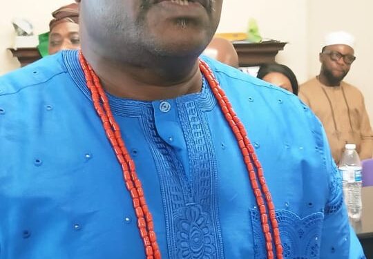 Newly elected UK-Nigerian community leader promises to align with NiDcom and SDGs to promote youth and critical developments