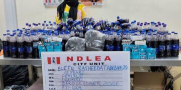 South African woman, US-based grandma arrested with large cocaine, loud shipments
